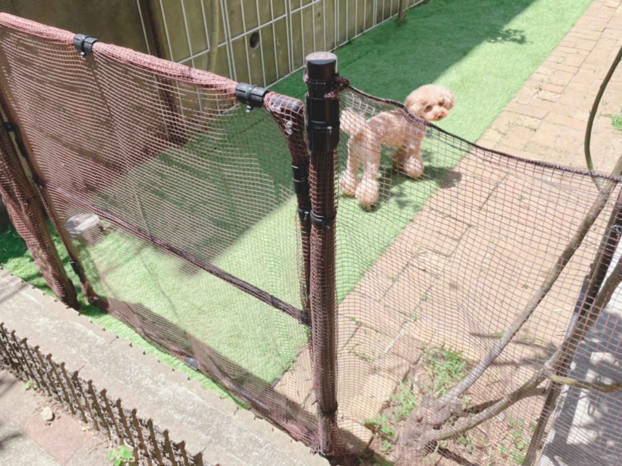 【DIY】愛犬のために簡易ドッグランを作ってみた！材料と手順をご紹介します！ のんきろぐ